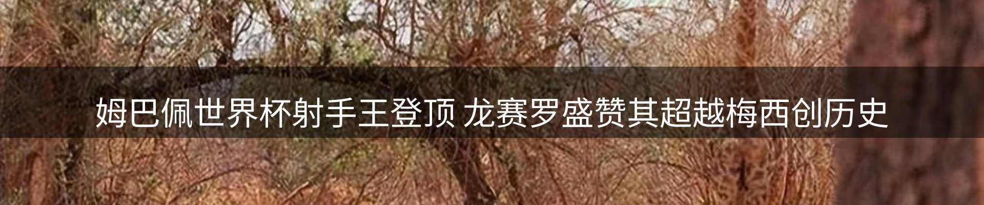 平台资讯